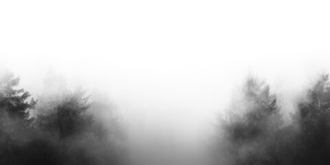 Misty fog in the forest on a cloudy morning isolated transparent background