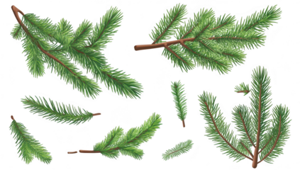 A collection of realistic green pine branches displayed on a white background. various shapes and sizes. ideal for seasonal decorations or nature-themed designs