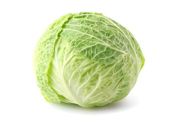 Fototapeta premium A green cabbage is shown isolated on a white background, a fresh vegetable.