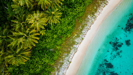 Aerial view of tropical beach with turquoise ocean, white sand, and lush palm trees, creating an idyllic paradise island scene perfect for travel, vacation, and commercial use.