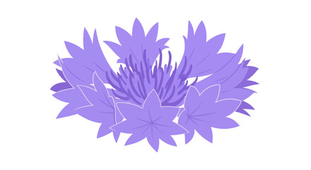 Fototapeta premium Stylized lavender flower bloom with layered petals and spiky center