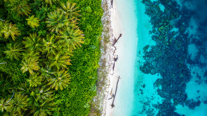 Aerial view of tropical beach with turquoise ocean, white sand, and lush palm trees, creating an idyllic paradise island scene perfect for travel, vacation, and commercial use.