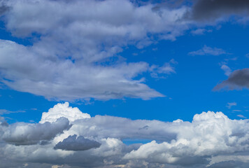 A beautiful white cumulus cloud is illuminated by the sun