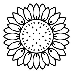 brazilian culturally iconic traditional sunflower