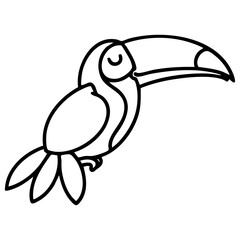 brazil toucan cultural animal icon