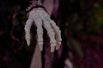 Closeup of a bony skeleton hand reaching forward at night. Sharp fingers and white plastic bones create a creepy Halloween effect.