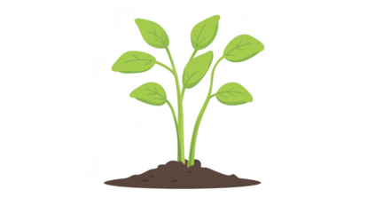 A green plant with multiple leaves emerging from rich brown soil. symbolizing growth and renewal. perfect for eco-friendly projects or gardening themes