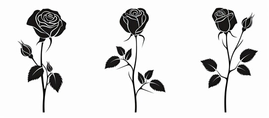 Three rose blossoms displayed for graphic use, isolated on white background
