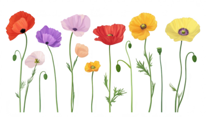 A arrangement of various poppy flowers in different colors and sizes. their delicate petals and slender stems. set against a clean white background. ideal for nature-themed projects