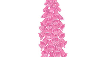 Pink foxglove stalk © gudangPIXEL