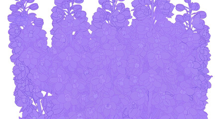 Obraz premium Floral field illustration, light purple blossoms and outlines