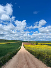 Campos de Castilla, camino de Santiago