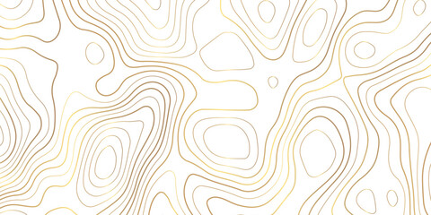 Topographic map background with geographic grid for hiking and mountain sport. luxury topographic wavy pattern and geographic grid map design. paper texture Imitation of a geographical map shade.