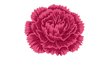 Detailed pink bloom