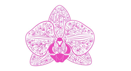 Intricate orchid illustration