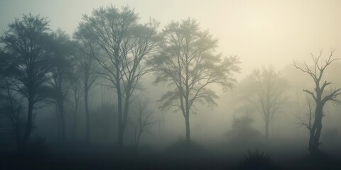 Experience the Mystique of a Misty Grove, Featuring Ethereal Fog, Silhouetted Trees, and Subdued Colors, Creating an Atmospheric and Peaceful Forest