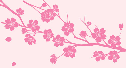 Pink cherry blossom branches on light pink