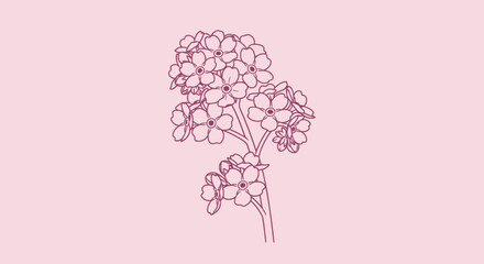 Pink flower outline