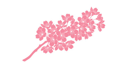 Fototapeta premium Pink cherry blossom branch