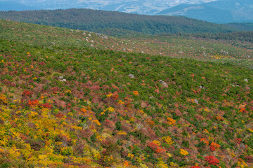秋の安達太良山