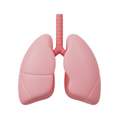 Anatomical model of human lungs