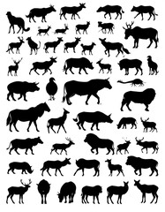 Naklejka premium Silhouettes of various animals