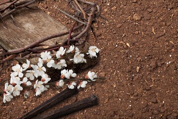 Crown of thorns. Christian Easter holiday.