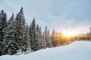 Fototapeta premium Scenic mountain view from a ski trail in winter.