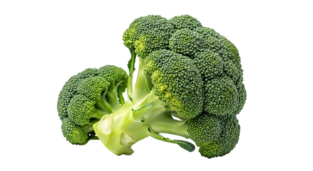 Fresh broccoli florets isolated on transparent background