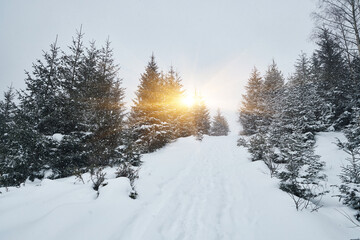 Snowy country road leading through a winter mountain landscape.