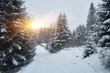 Fototapety na wymiar - Fototapeta24.pl