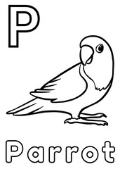 Animal Alphabet: P for Parrot