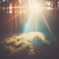 Sunlit Path in the Woods A Serene Journey Through a Forest Illuminated by Bright Sunlight and Greenery