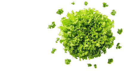 Obraz premium Fresh green lettuce on a clean white background. its texture and color. ideal for culinary presentations. healthy eating concepts. or organic food marketing