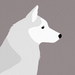 Siberian Husky 1 cute on a gray color  background, vector illustration.