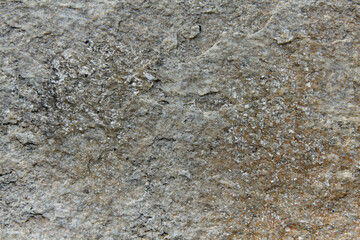 Textured stone structure with natural patterns and earthy tones, showcasing rugged surface details and organic elements, ideal for backgrounds with ample copy space for design purposes