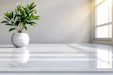 Serene minimalist interior with a vibrant green plant in a white pot bathed in warm sunlight streaming through a large window, creating a tranquil atmosphere.