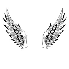 Black and white Illustration of a bird wings