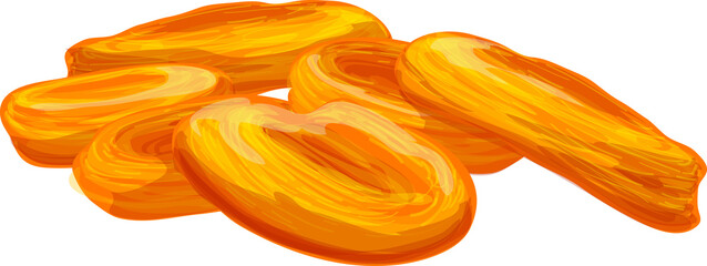 vector illustration of dried apricot