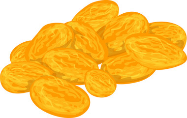 vector illustration of dried grapes