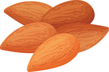 vector illustration of almonds