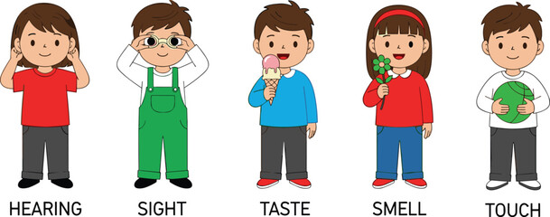Vector illustration of five human senses for kids, showing hearing, sight, taste, smell, and touch with cartoon children activities.