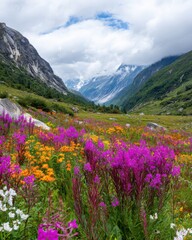 Obraz premium vibrant wildflowers blooming across Valley of Flowers, colorful mountain meadow in Himalayan region