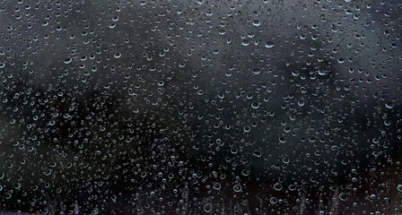 Raindrops on glass close-up. Black and white monochrome. Selective focus