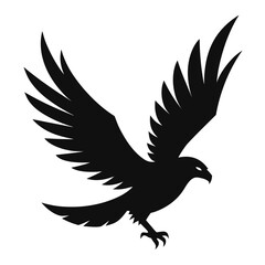 eagle vector illustration