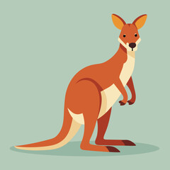 Kangaroo cartoon