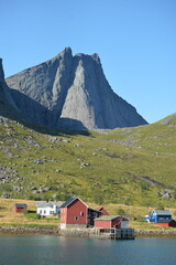 Fototapeta premium sea collection