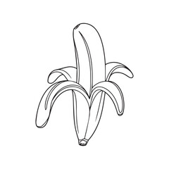 Simple Symmetrical Banana Line Art Design. 