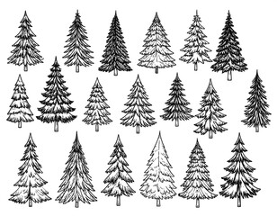 Collection of hand-drawn Christmas trees