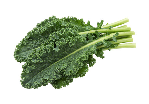 Fresh green kale leaves isolated, healthy leafy vegetable for salads and cooking on a transparent background PNG - Powered by Adobe